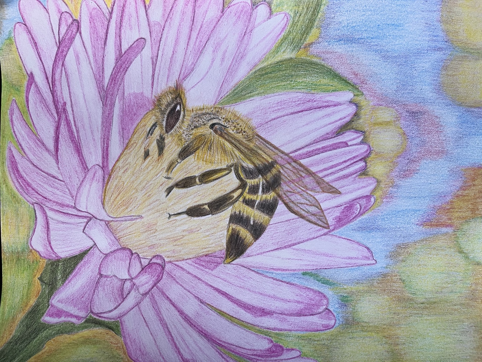 Bee on Aster