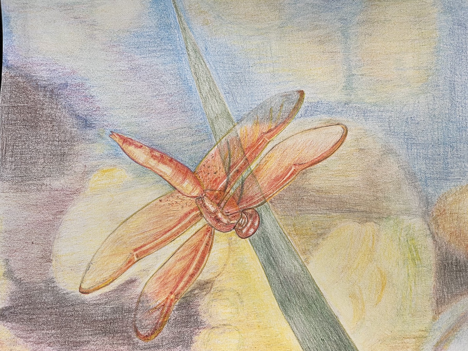 Dragonfly