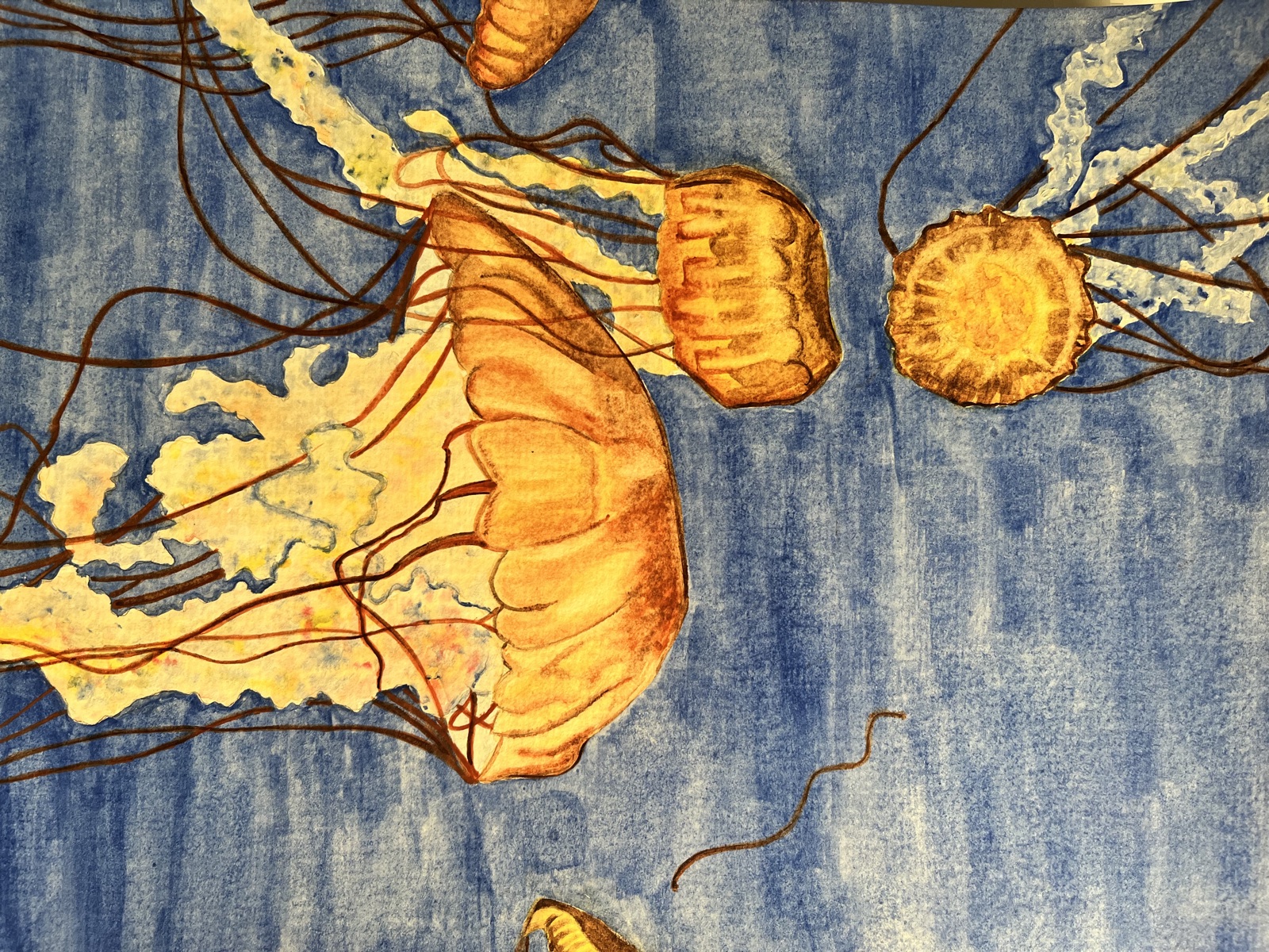 A School of Jellyfish