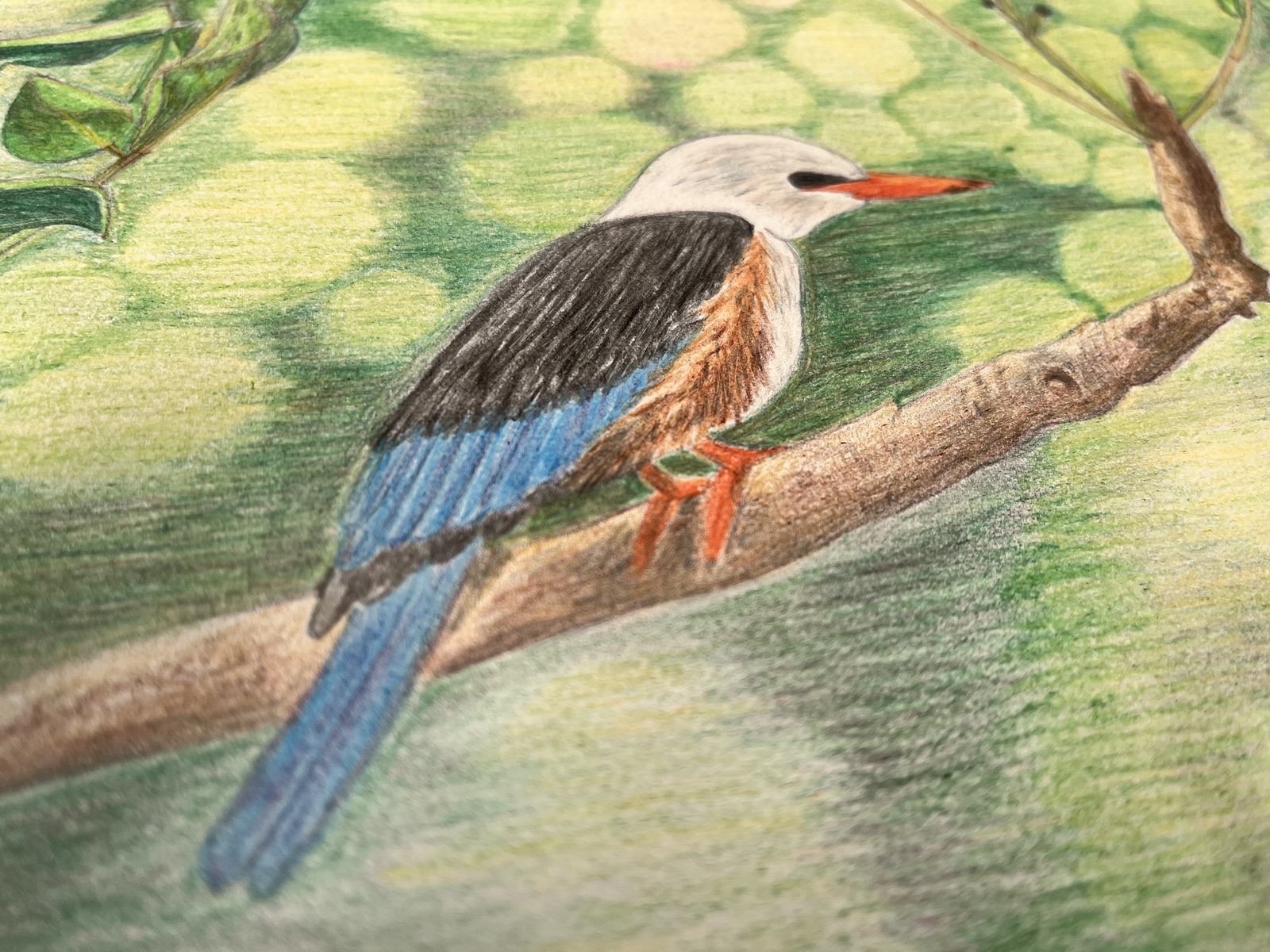 Kingfisher, Detail