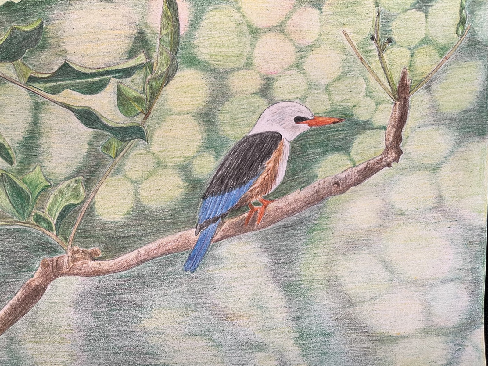 Kingfisher