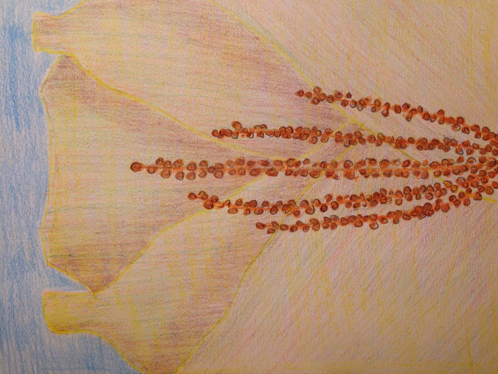Yellow Bloom, Detail